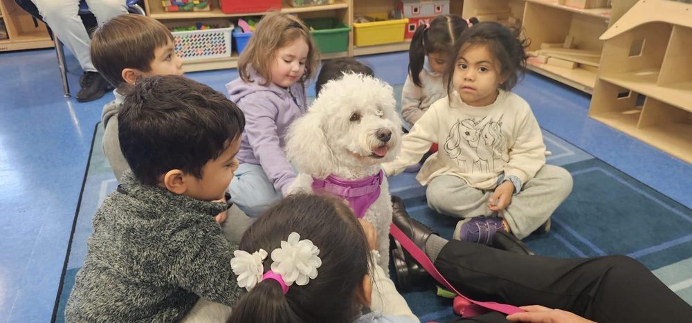 A group of children interact with a dog seated in the center during a classroom activity.