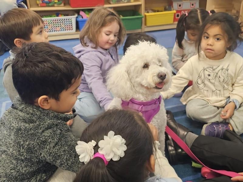 A group of children interacting with a white dog in a classroom.